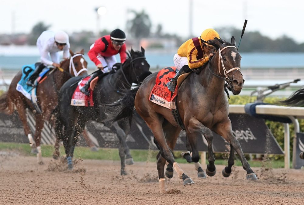 Eclatant - Forward Gal Stakes G3 - Coglianese Photo