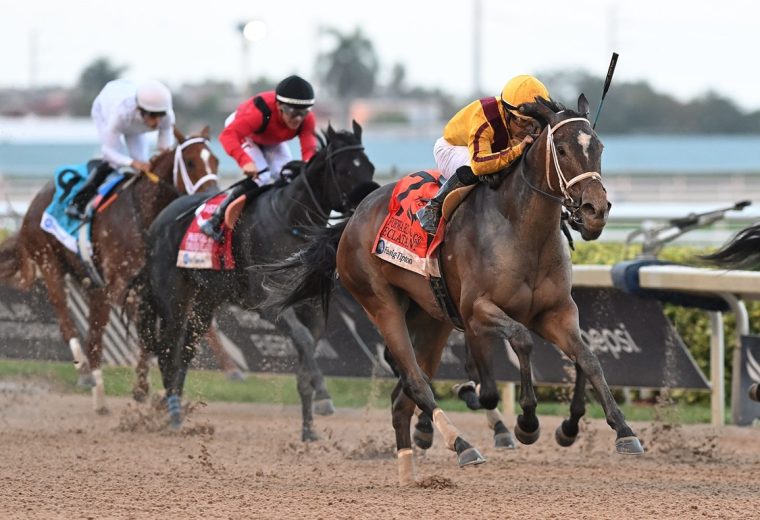 Eclatant - Forward Gal Stakes G3 - Coglianese Photo