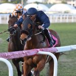 Epona's Hope - Ladies Turf Sprint Stakes - Coglianese Photo