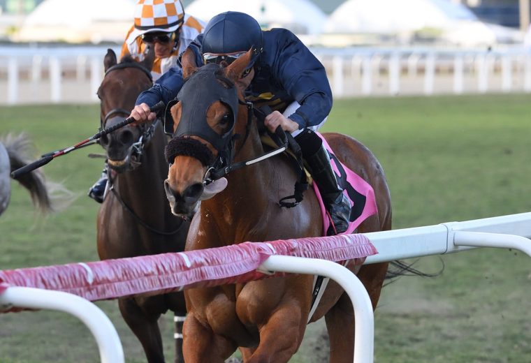 Epona's Hope - Ladies Turf Sprint Stakes - Coglianese Photo