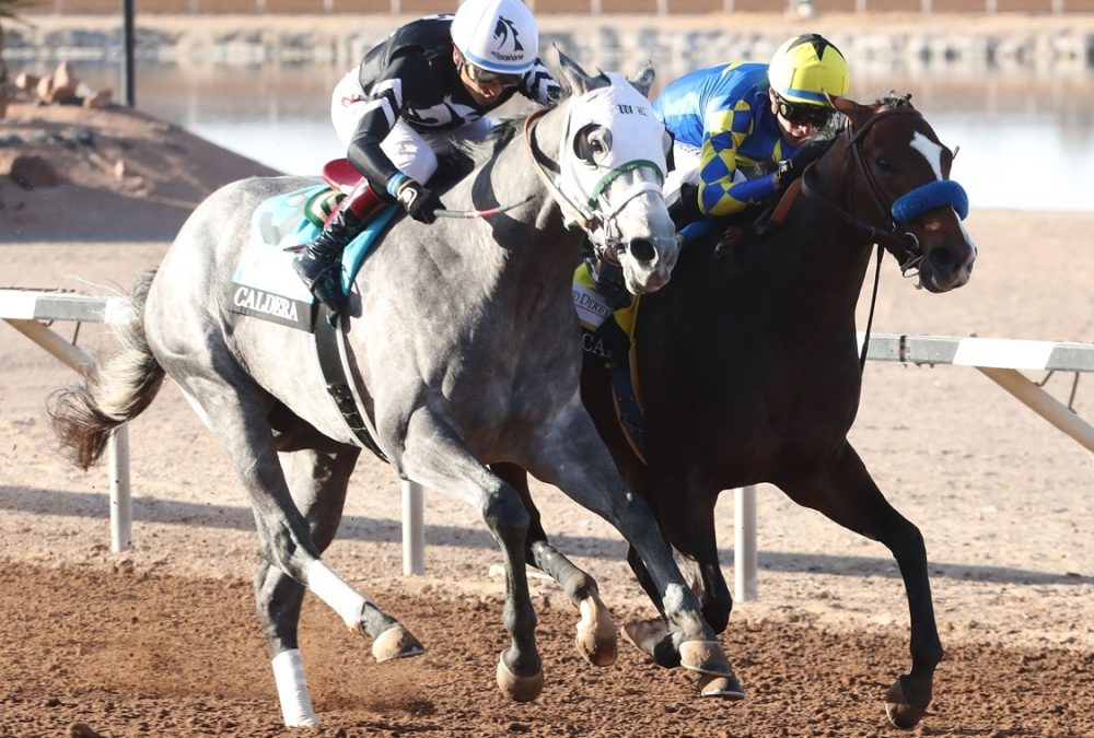 Getaway Car - Sunland Park Derby - Coady Media