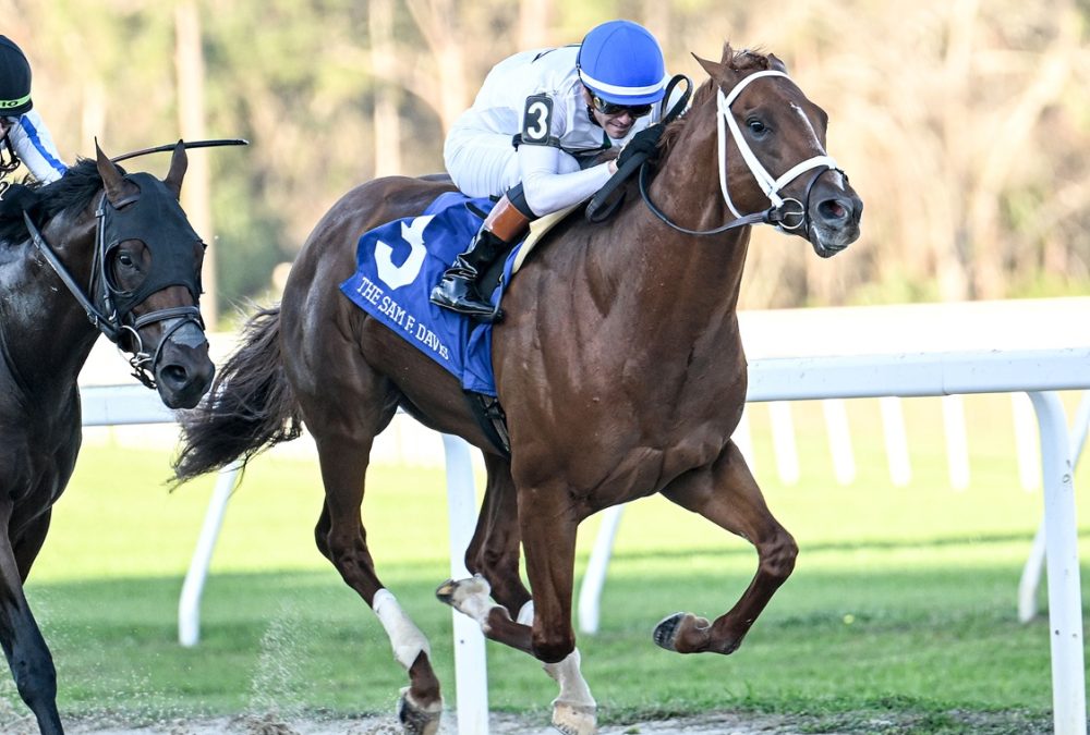 John Hancock - Sam F. Davis Stakes - SV Photography