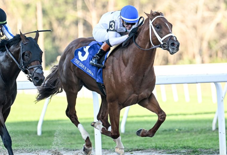 John Hancock - Sam F. Davis Stakes - SV Photography