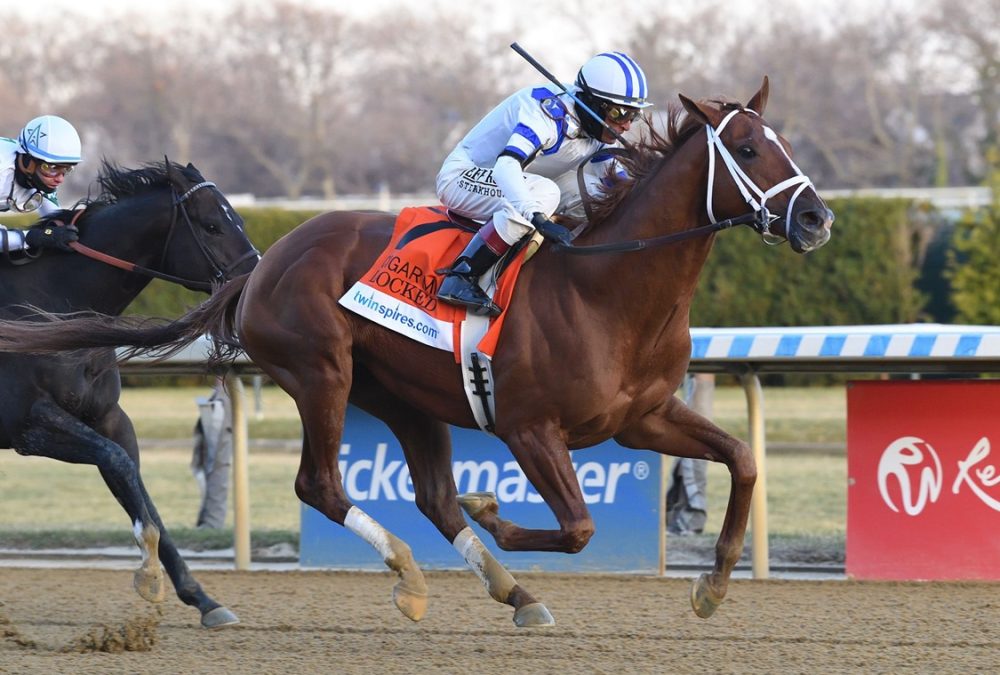 Locked - Coglianese Photo