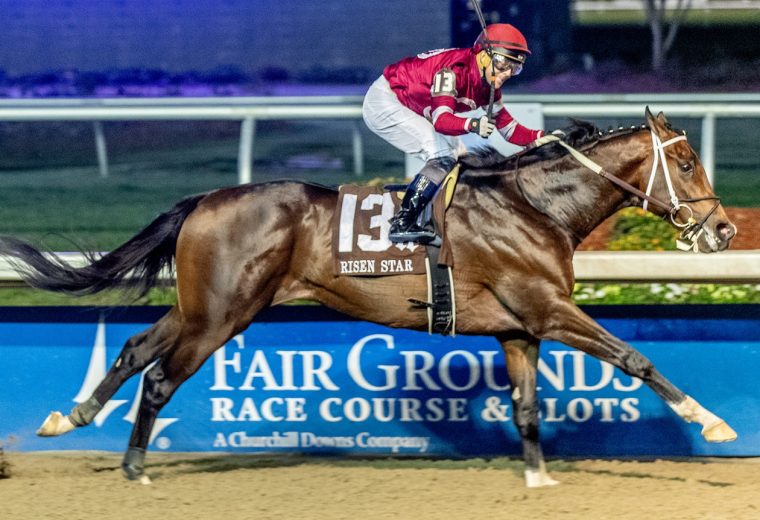 Magnitude - Risen Star G2 - Hodges Photography/Lou Hodges Jr.