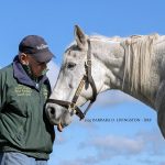 Silver Charm & Michael Blowen - Barbara D. Livingston - Daily Racing Form