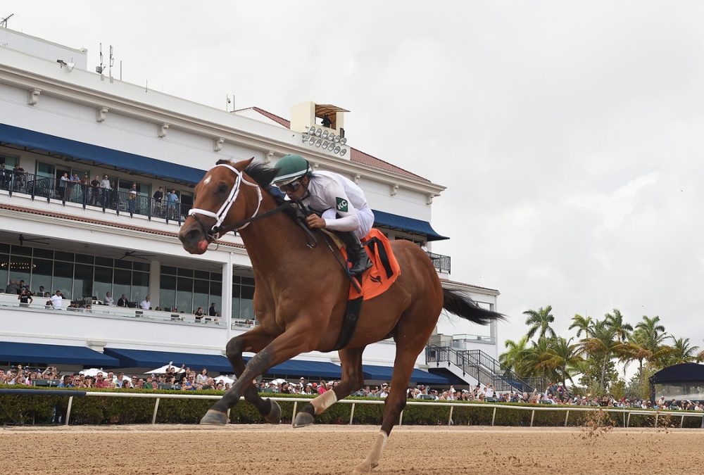 Tappan Street - Ryan Thompson/Coglianese Photo