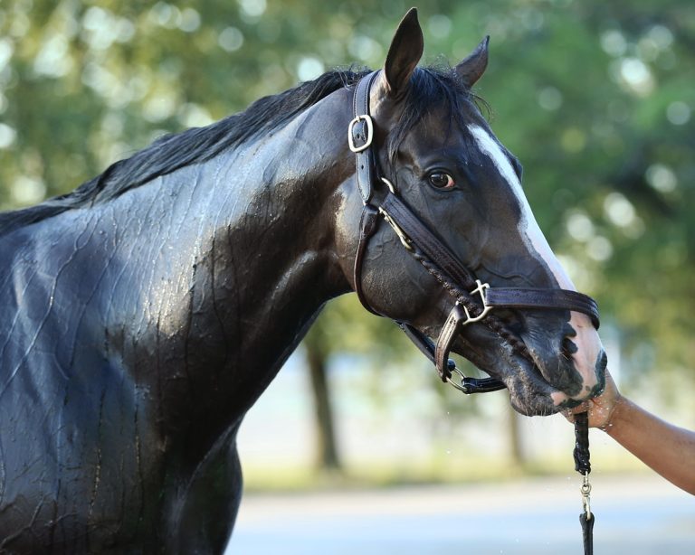 Bricks and Mortar - Coady Media