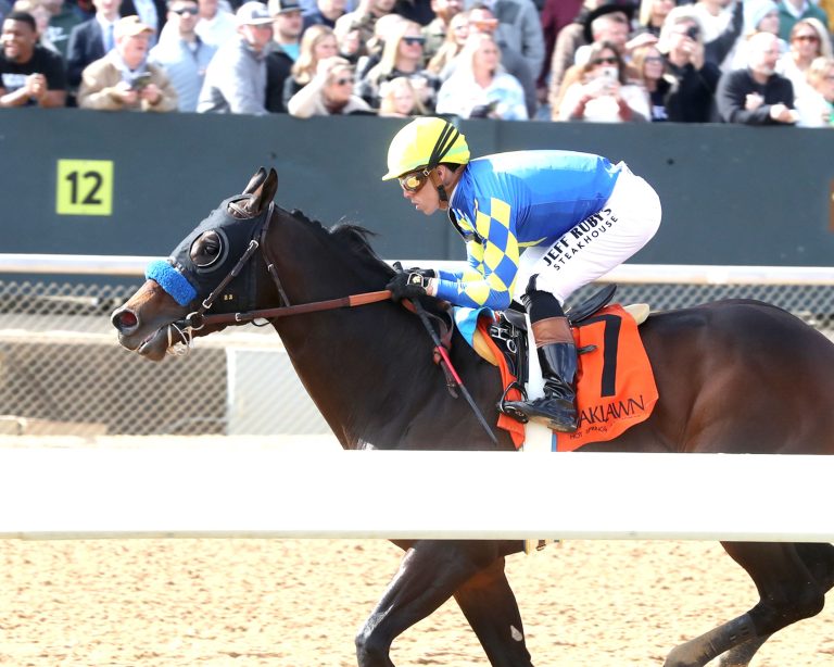 Cornucopian - Coady Photo