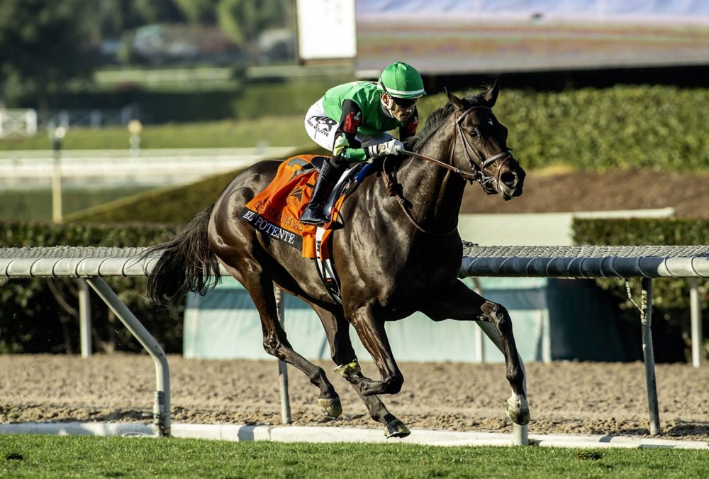 El Potente - Thunder Road Stakes G3T - Benoit Photo