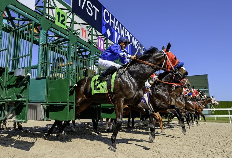 Gulfstream Tapeta scenic gate - Ryan Thompson - Coglianese Photo