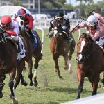 Incanto - Texas Glitter Stakes - Angelo Lieto/Coglianese Photo