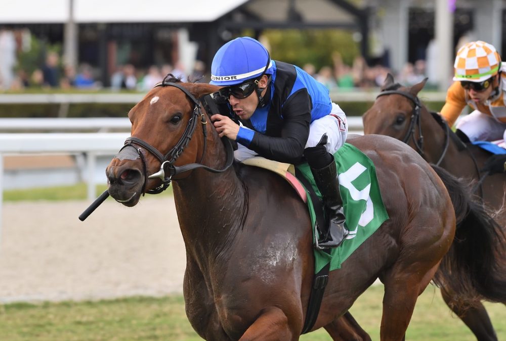 Just a Care - Ryan Thompson/Coglianese Photo