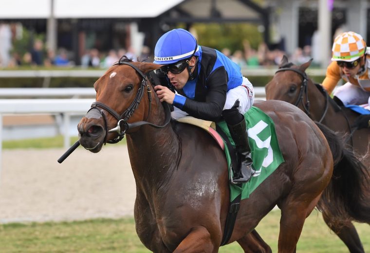 Just a Care - Ryan Thompson/Coglianese Photo