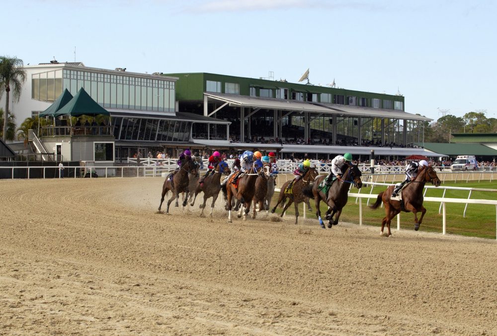 Tampa Bay Downs - Foto Tom Keyser