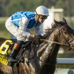 Toupie - Las Cienegas Stakes G3 - Benoit Photo