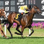 Zulu Kingdom - SV Photography - Tampa Bay Downs