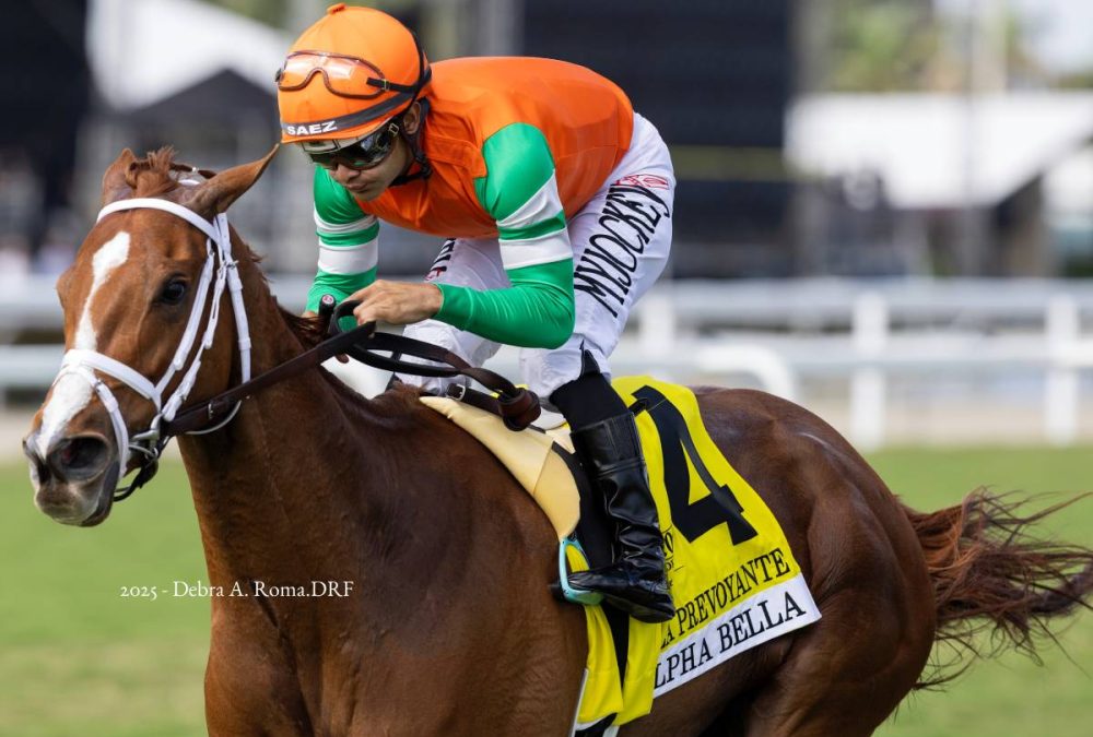 Alpha Bella - La Prevoyante G3 - Debra A Roma - Daily Racing Form