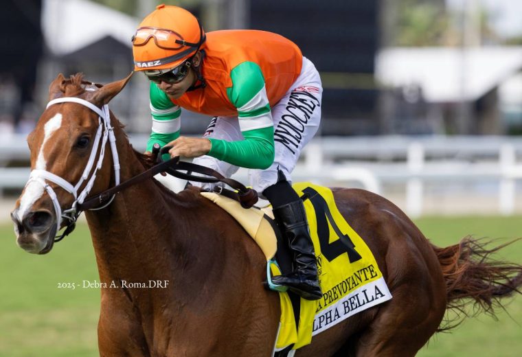 Alpha Bella - La Prevoyante G3 - Debra A Roma - Daily Racing Form
