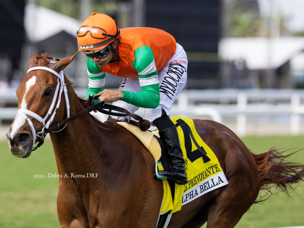 Debra Hammer Racing Velocidad y emoción al máximo ofrece el Santa Margarita G2 ...
