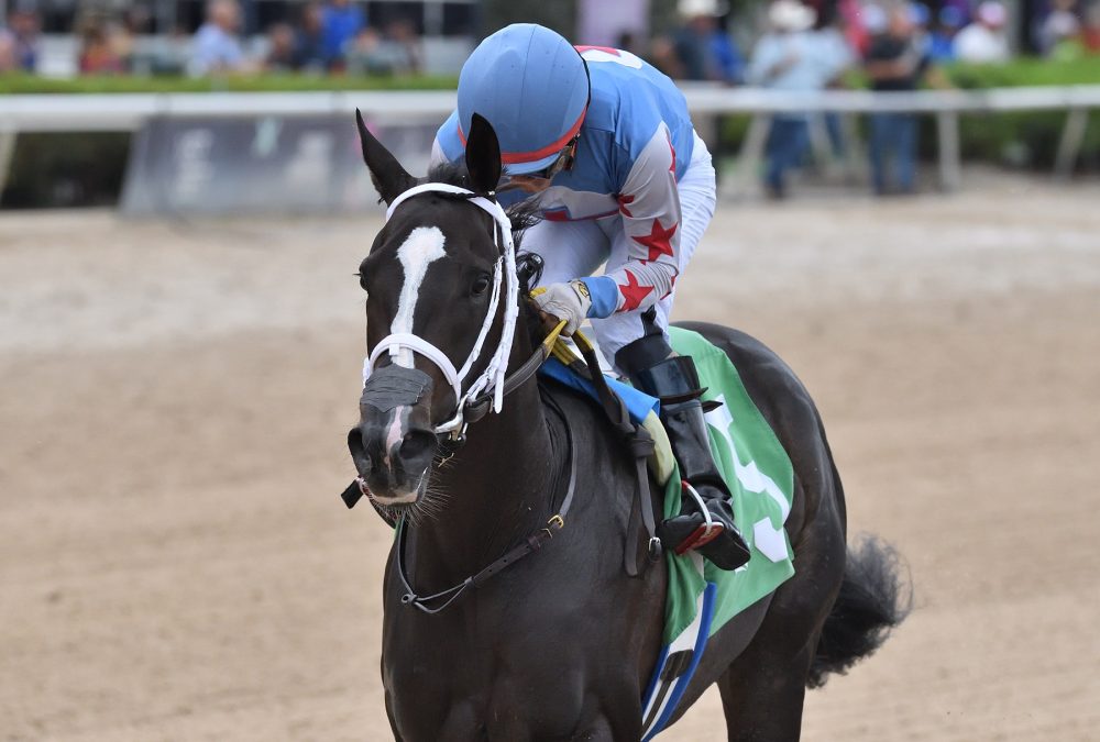 Andrea - Coglianese Photo / Ryan Thompson