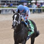 Andrea - Coglianese Photo / Ryan Thompson
