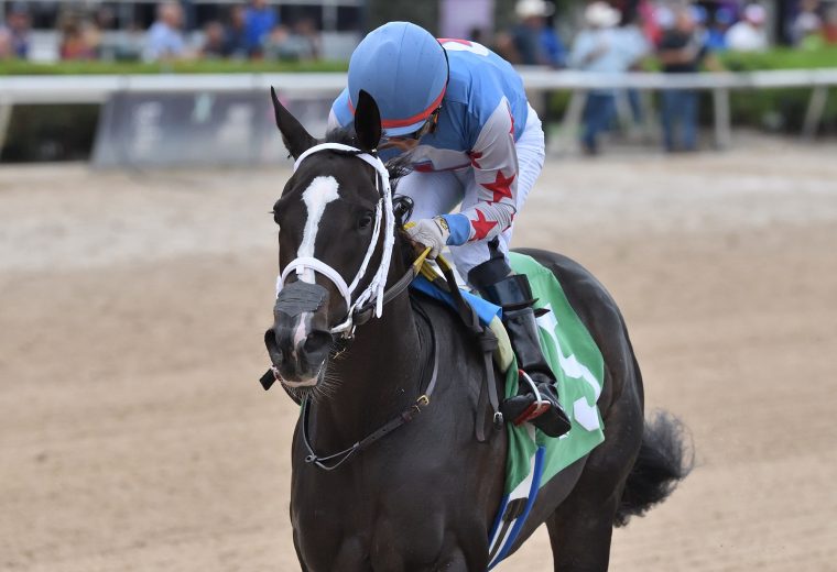 Andrea - Coglianese Photo / Ryan Thompson