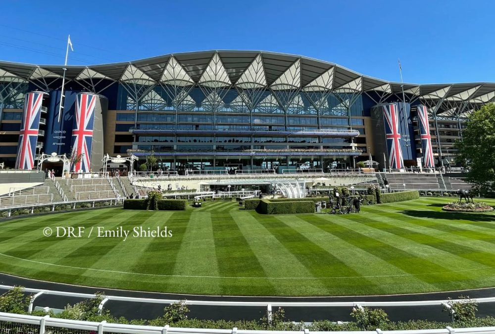 Ascot - ©DRF/Emily Shields
