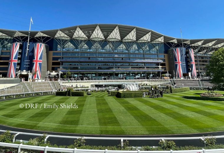 Ascot - ©DRF/Emily Shields