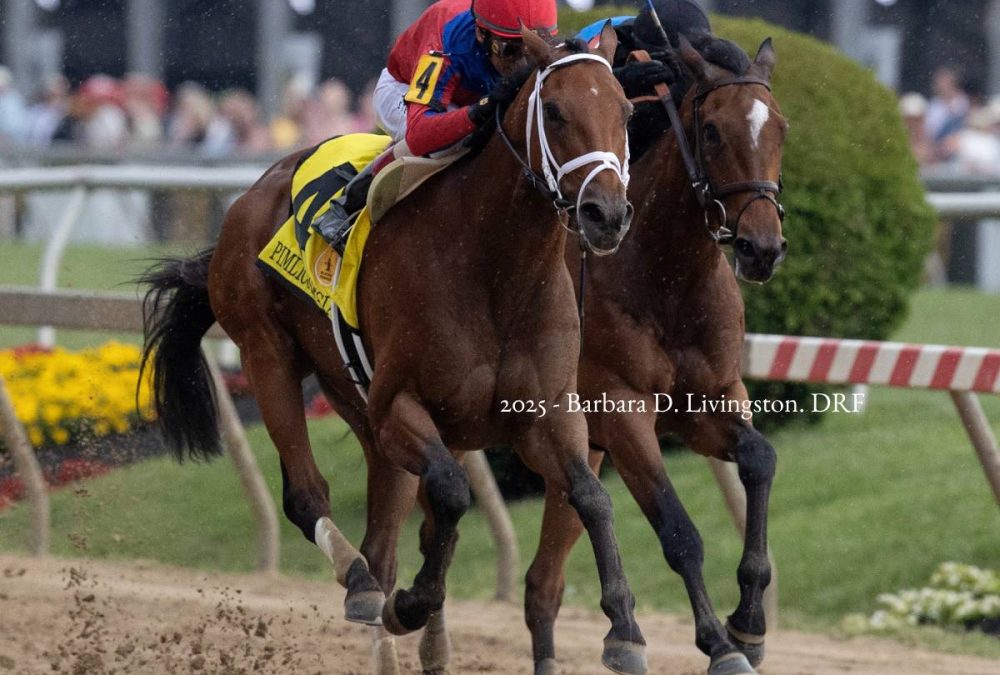 Awesome Aaron - Pimlico Special G3 - Barbara D .Livingston - Daily Racing Form