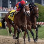 Awesome Aaron - Pimlico Special G3 - Barbara D .Livingston - Daily Racing Form