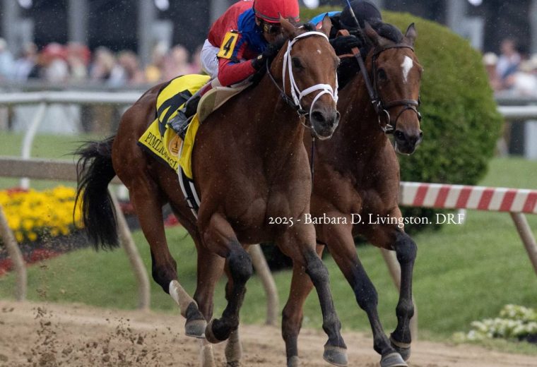 Awesome Aaron - Pimlico Special G3 - Barbara D .Livingston - Daily Racing Form