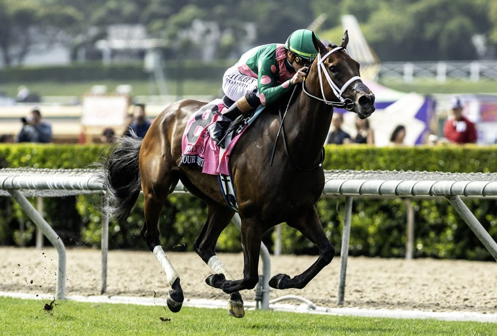 Be Your Best - Gamely Stakes G1T - Benoit Photo