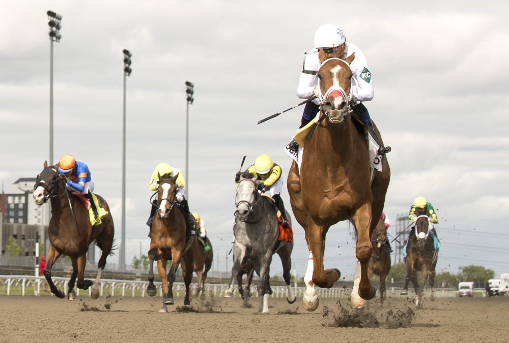 Caitlinhergrtness / Belle Mahone (Grade III) / Woodbine / Michael Burns Photo