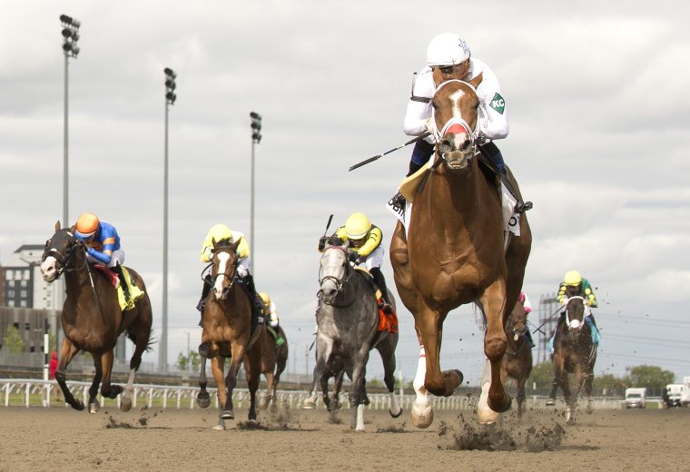 Caitlinhergrtness / Belle Mahone (Grade III) / Woodbine / Michael Burns Photo