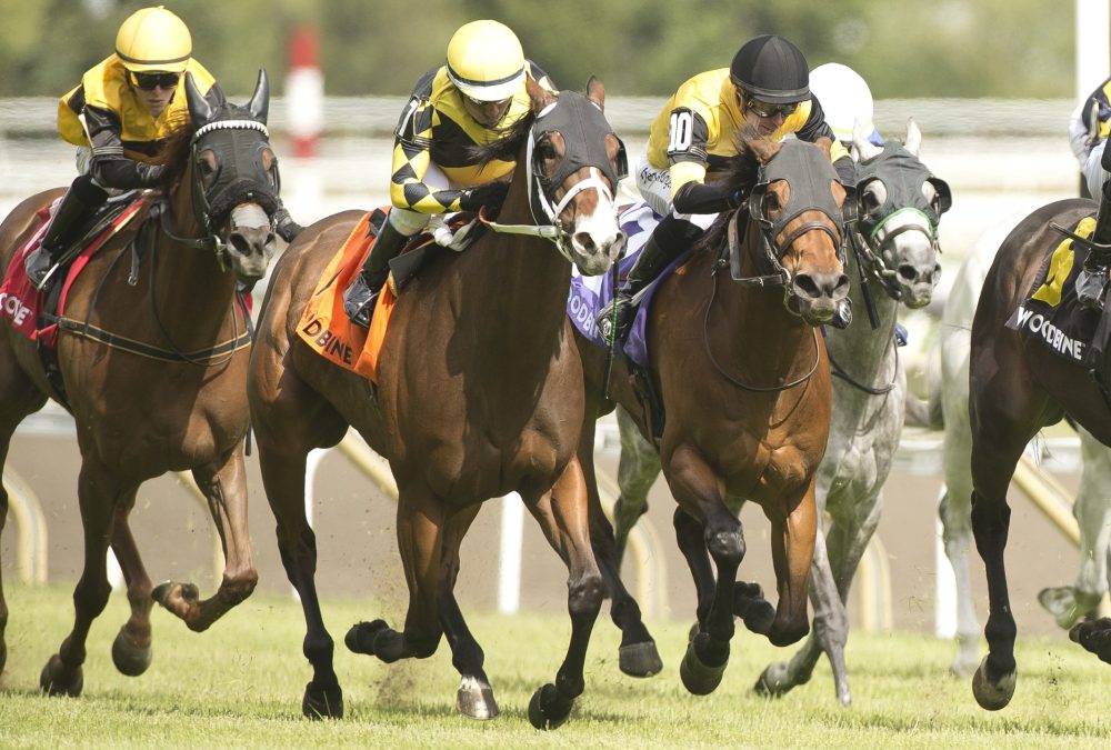 Ms. Tart to victory / HPIbet Royal North Stakes Gr III / Woodbine / Michael Burns Photo