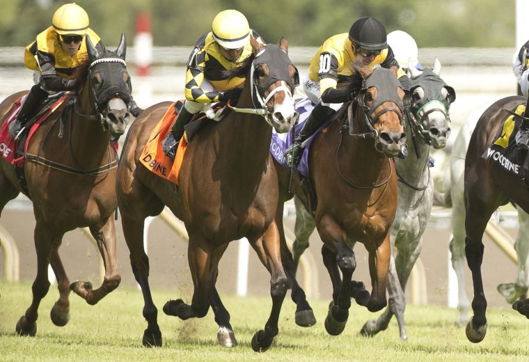 Ms. Tart to victory / HPIbet Royal North Stakes Gr III / Woodbine / Michael Burns Photo