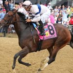 Echo Sound - Miss Preakness Stakes G3 - Jeffrey Snyder/TMJC