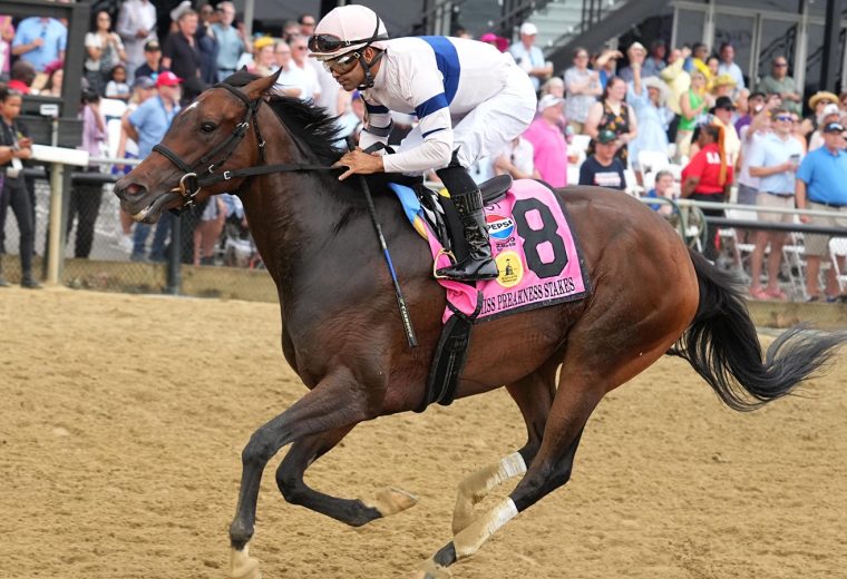 Echo Sound - Miss Preakness Stakes G3 - Jeffrey Snyder/TMJC