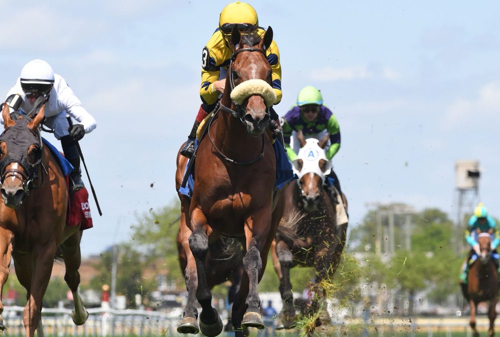 Far Bridge - Man o'War Stakes - Coglianese Photo