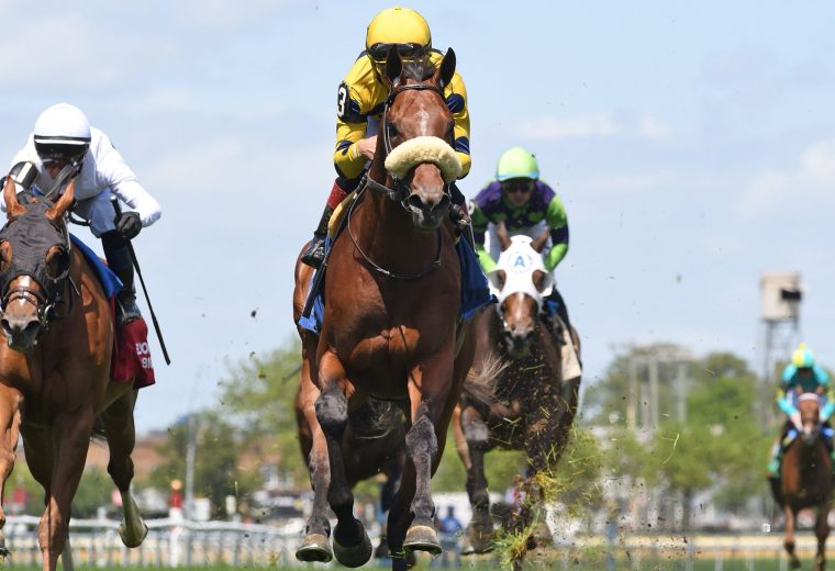 Far Bridge - Man o'War Stakes - Coglianese Photo