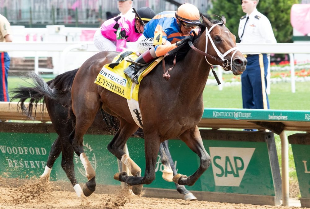 Fierceness - Alysheba G2 - Coady Media