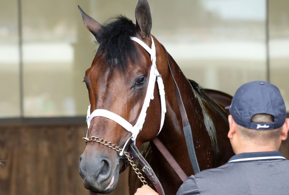 Fierceness schooling - Coady Media