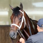 Fierceness schooling - Coady Media