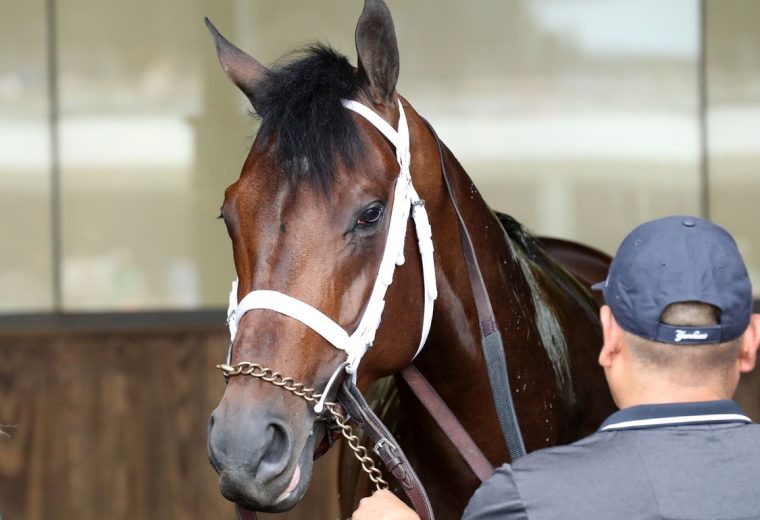 Fierceness schooling - Coady Media