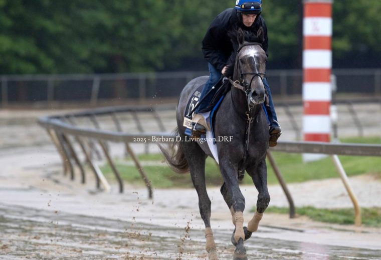 Gosger - Barbara D. Livingston - Daily Racing Form
