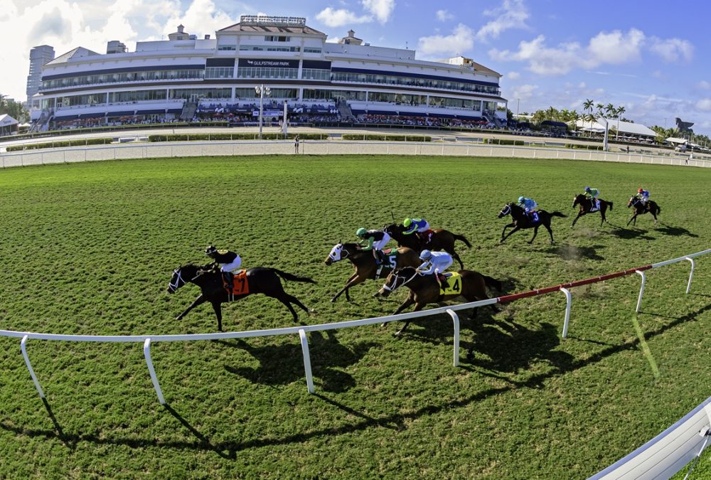 Gulfstream Turf Scenic - Ryan Thompson/Coglianese Photo