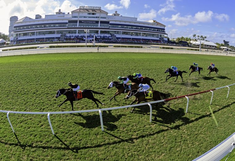 Gulfstream Turf Scenic - Ryan Thompson/Coglianese Photo