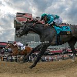 Journalism - Preakness Stakes G1 - Debra A Roma - Daily Racing Form