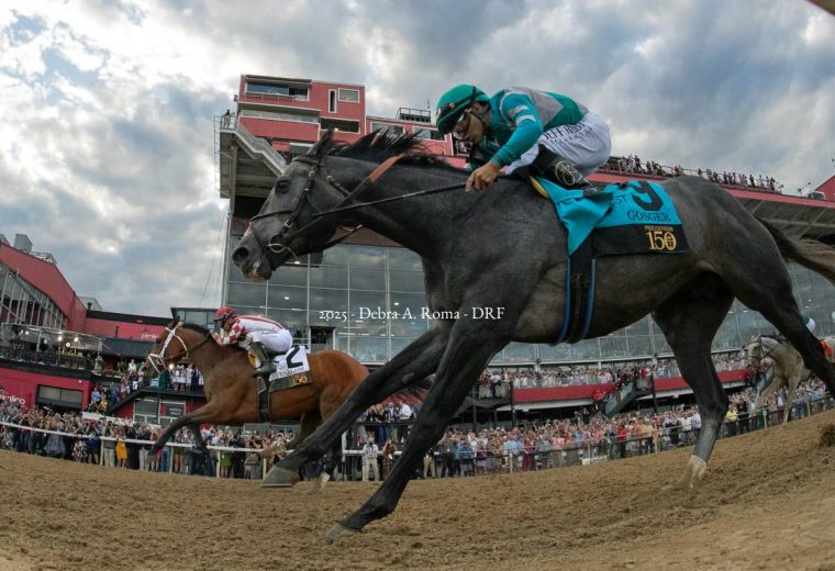 Journalism - Preakness Stakes G1 - Debra A Roma - Daily Racing Form